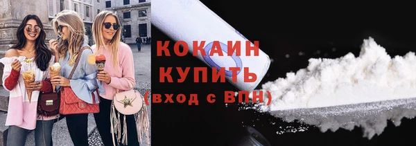 гашик Горняк