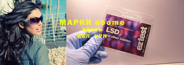 гашик Горняк