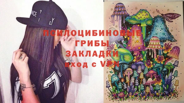 гашик Горняк