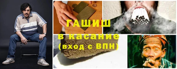 гашик Горняк