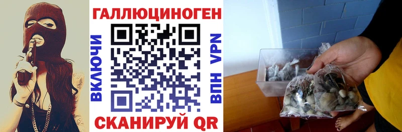 Галлюциногенные грибы мицелий  Дмитровск 