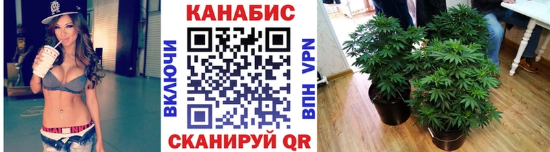 Бошки Шишки White Widow  Дмитровск 